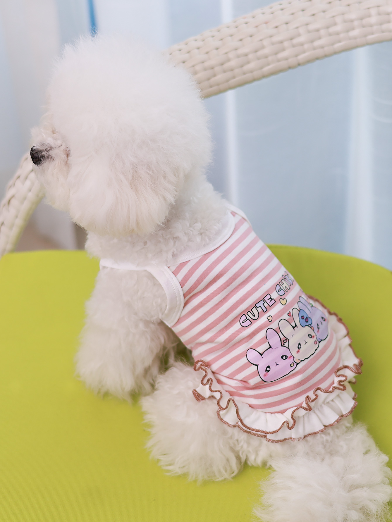 Dog vest, summer breathable th - Summer Clothing Material recensione e prezzo