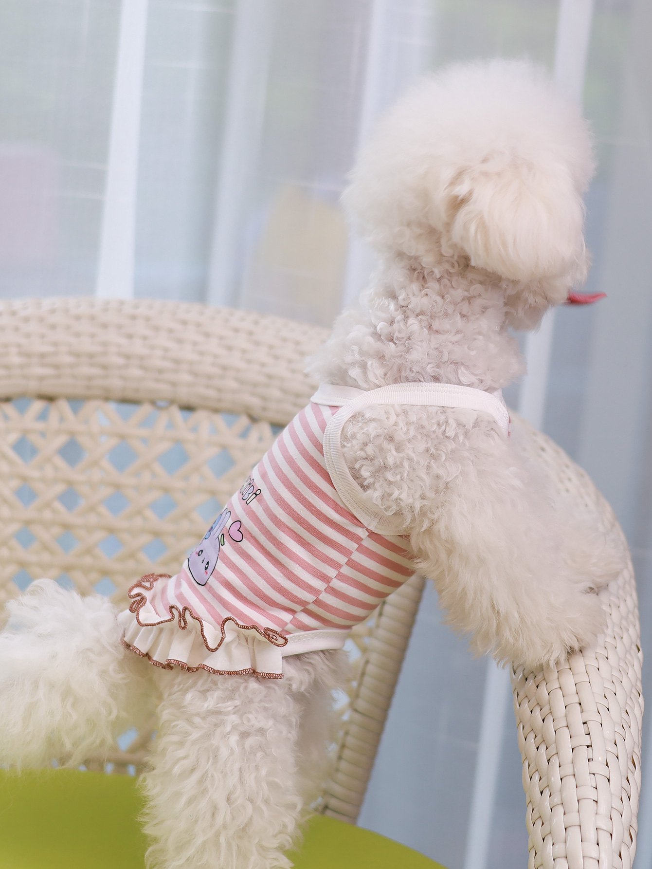 Dog vest, summer breathable th - Summer Clothing Material recensione e prezzo