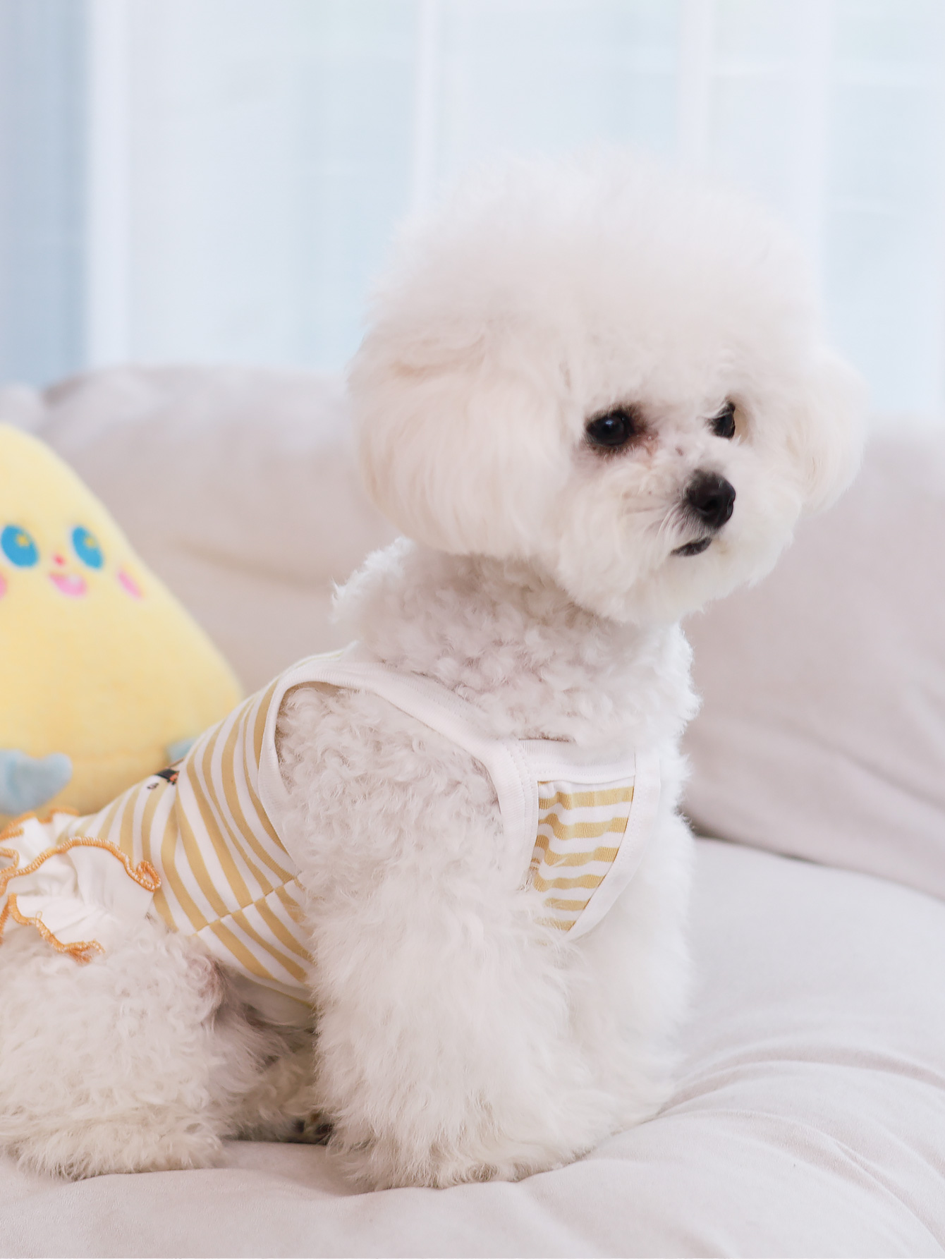 Dog vest, summer breathable th - Summer Clothing Material recensione e prezzo