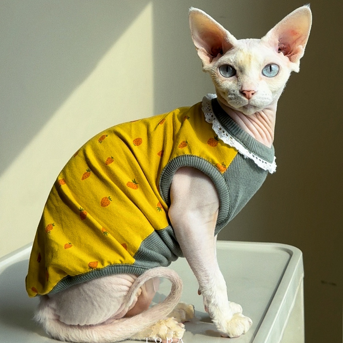 Clothing for Cat Spring Sweet  - Summer Green Clothing recensione e prezzo