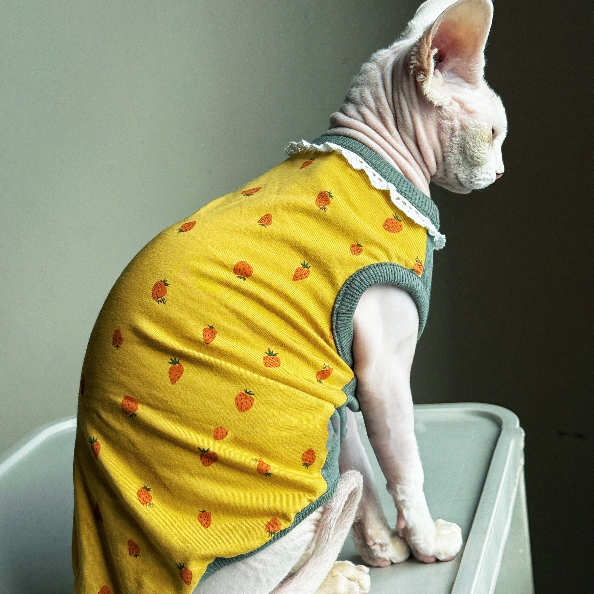 Clothing for Cat Spring Sweet  - Summer Green Clothing recensione e prezzo