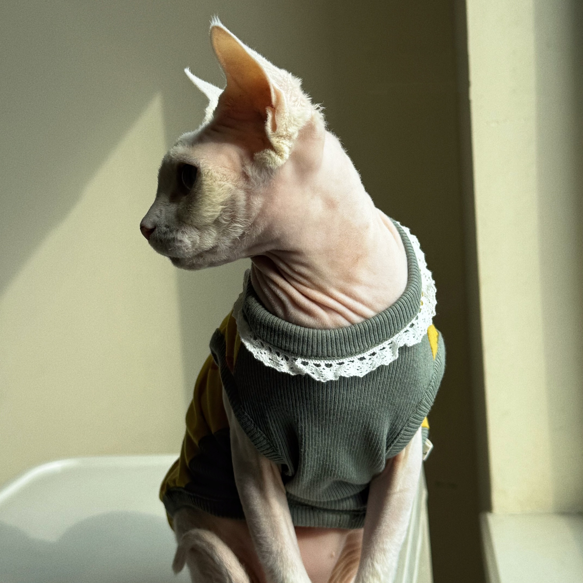 Clothing for Cat Spring Sweet  - Summer Green Clothing recensione e prezzo