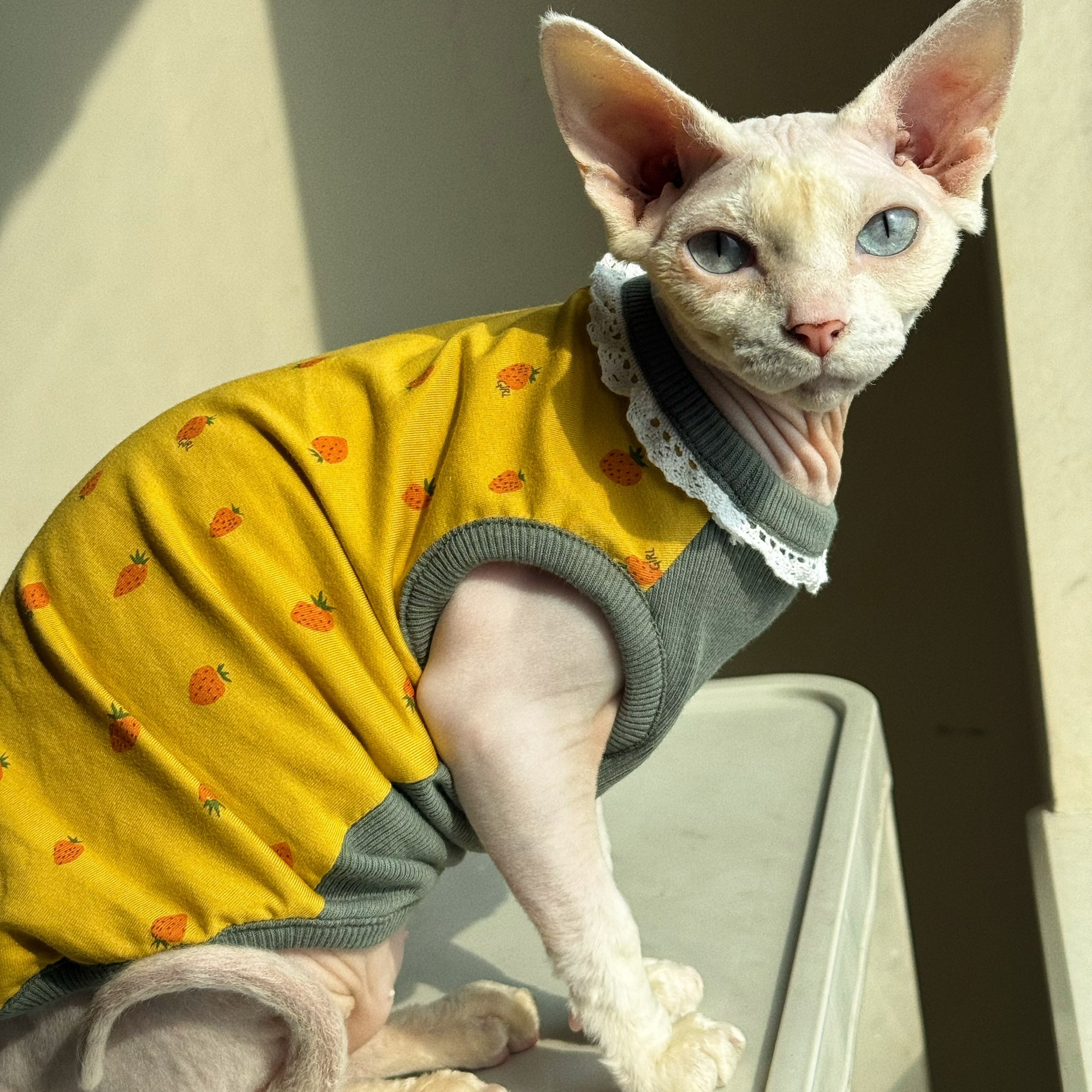 Clothing for Cat Spring Sweet  - Summer Green Clothing recensione e prezzo